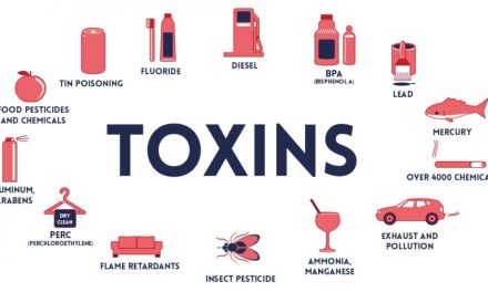 Health Hacks to Get Rid of Toxins That Enter Your Body!